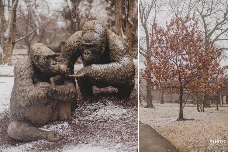 Preboda internacional en Chicago (45)